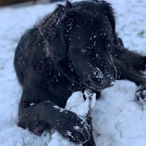 Meet your Posher, Georgia